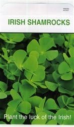 Set of 3 Lrg Shamrock Seed Packets
