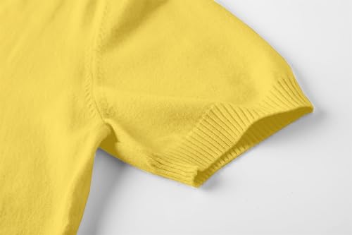 Image of DAIMIDY Women's Short Sleeve Sweater V Neck Summer Knit Tops | Business Casual Tops| Soft,Lightweight,Breathable and Comfortable| Perfect for Shopping,Date,Vacation,Daily Wear Etc.