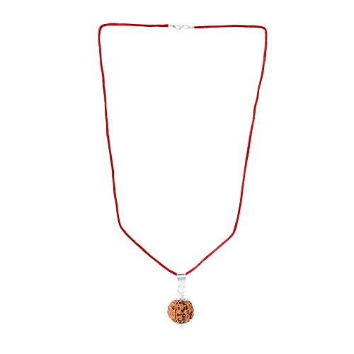 Image of Divine Hindu Original 6 Mukhi (Six Face) Indonesia Rudraksha | Chhe Mukhi Rudraksh Bead for Meditation, Protection & Spiritual Growth | Natural Rudraksha for Men & Women | Prayer Bead for Success