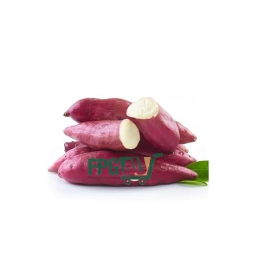 Farm-Fresh Red Sweet Potatoes - 4.8KG