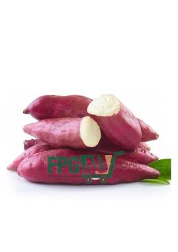 Red Sweet Potato – 2KG | Perfect for Salads, Wedges & Jacket Potatoes | Farm-Fresh, Nutritious & Naturally Sweet