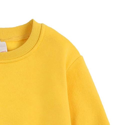 Sweatshirts for Girls and Boys Fashion Long Sleeve Crewneck Pullover Tops Cute Solid Toddler Sweaters4