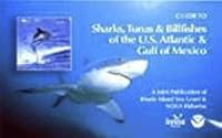 Guide to Sharks, Tunas, Billfishes of the U.S. Atlantic & Gulf of Mexico 0938412442 Book Cover