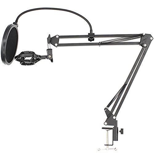 Pied de micro BM800 pour bureau et enregistrement de podcast à la maison