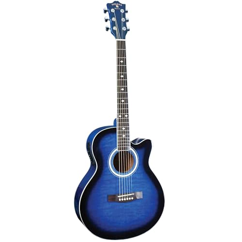 INDIANA Madison MAD-QTBL GAR - Blue Sunburst AR[XeBbNM^[ ARM M^[ (sA)