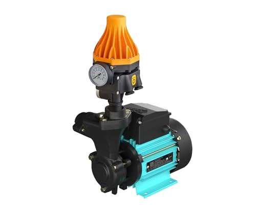 Image of Kirloskar 0.5 Hp Single Phase Rian Water Pump with Pump Controller Switch (multicolour)