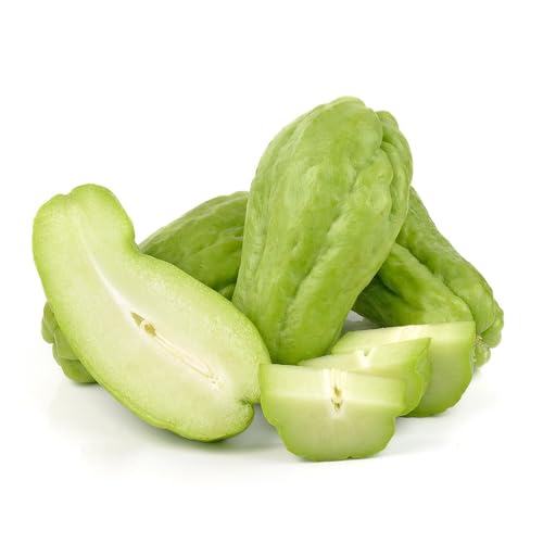 chayote jardín del balcón semillas de comprar balcón con camas elevadas de invierno cocina jardín semillas 10pcs