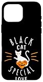 carino halloween cat lovers - divertente gatto nero amore mamma gatto papà custodia per iphone 16 pro max