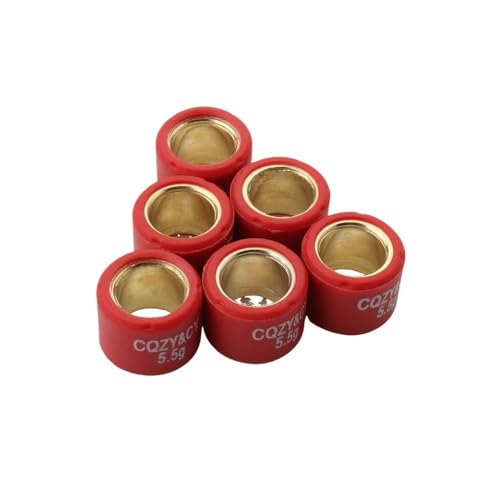 Galets de variateur 16 x 13 mm kit de poids 5.5g scooter GY6 139QMB 139QMA 4 temps