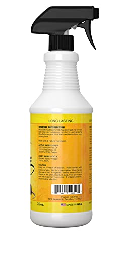 Exterminators Choice Mice Defense Spray | 32 Ounce And 6 Glue Traps | Natural, Non-Toxic Mouse Repellent | Quick, Easy Pest Control | Safe Around Kids & Pets #TOP2