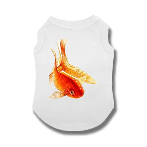 [QINTIW] L L̕ LbgEFA zCg lREFA lR ybgm j̎q ̎q Mtgv[g ₷  5XL ^ m h~ ybgEFA 킢  p m