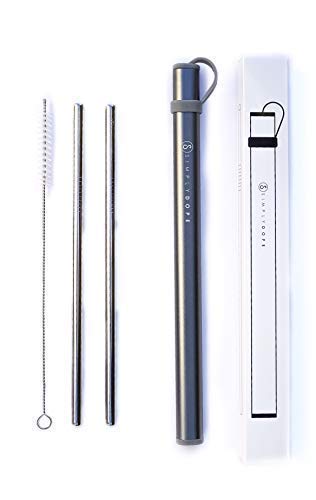 Reusable Stainless Steel Straws With Case - Washable Straws With Travel Straw Case - Straw With Case - Stainless Steel Straws With Carrying Case - Metal Travel Straw - Reusable Straw And Case