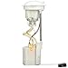 Delphi FG0817 Fuel Pump Module