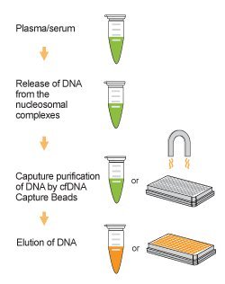 EpigentekEpiQuik Circulating Cell-Free DNA (cfDNA) Isolation Easy Kit - 50 Samples