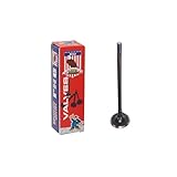 DNJ EV340 Exhaust Valve for 2009-2011 Chevrolet Pontiac Aveo Aveo5 G3 1.6L L4 16V DOHC 1598cc