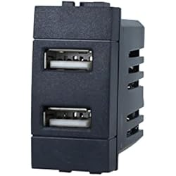 Cargador Usb Bticino Cargador USB de pared, compatible con Bticino Living Light (2 puertos USB 5 V 2,1 A, negro)