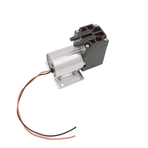 Bomba de agua SW524-30B-2900 12V DC miniatura 4