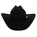 Stetson Unisex Apache 4X Felt Cowboy Hat Black 7 3/4