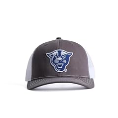 Georgia State Panther