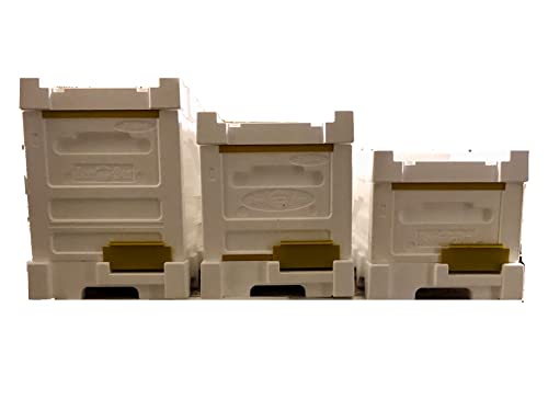 Bienenwagner Paradisehoney NUC&Mate Ablegerkasten Dadant Us Dadant Blatt Langstroth MIni Plus (MIni Plus)