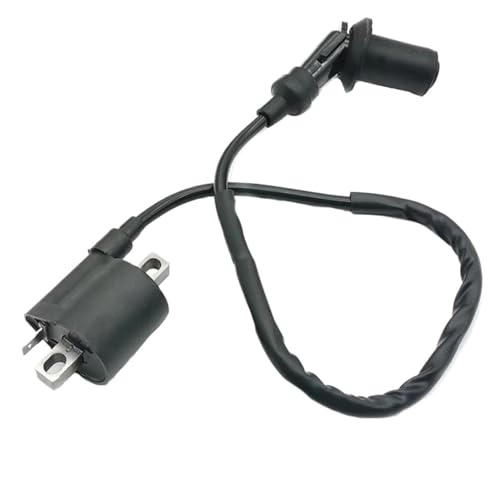 Bobina de encendido 12V para moto YBR 125 modelos 2002-2013