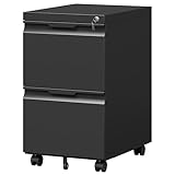 Korolado 2 Drawer Metal Rolling File Cabinet with Lock, Under Desk Mobile Filing Cabinet for Home Office, Printer Stand with Casters Fits A4/Letter/Legal Size Documents, Black
