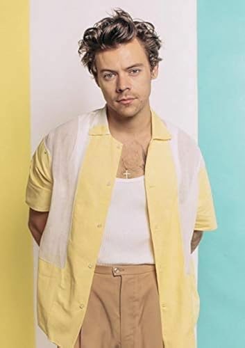 DVBQQWE Kits de pintura de diamantes 5D para adultos, pintura de diamantes Harry Styles con diamantes, kit de pintura por números con arte de gemas de 12 x 16 pulgadas