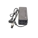 ZTOSZSPT Cargador de batería de fosfato de Hierro y Litio de 14,6 V, 5A, 10A, 3,2 V, Cuatro Cuerdas, 12,8 V, batería de alimentación de 12V y 6A(14.6V-5A -Aviation 2 Core+Fan)