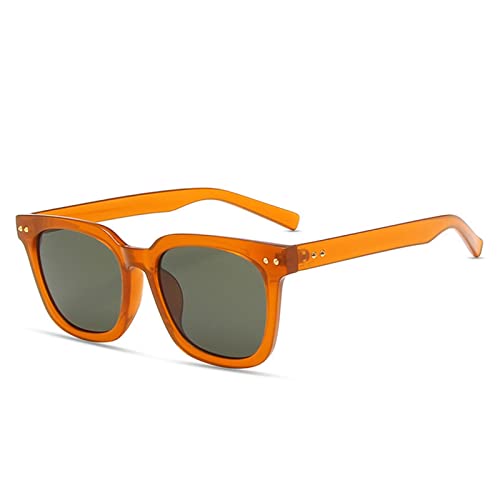 Lunettes de soleil femmes carrées au design fauve et moderne