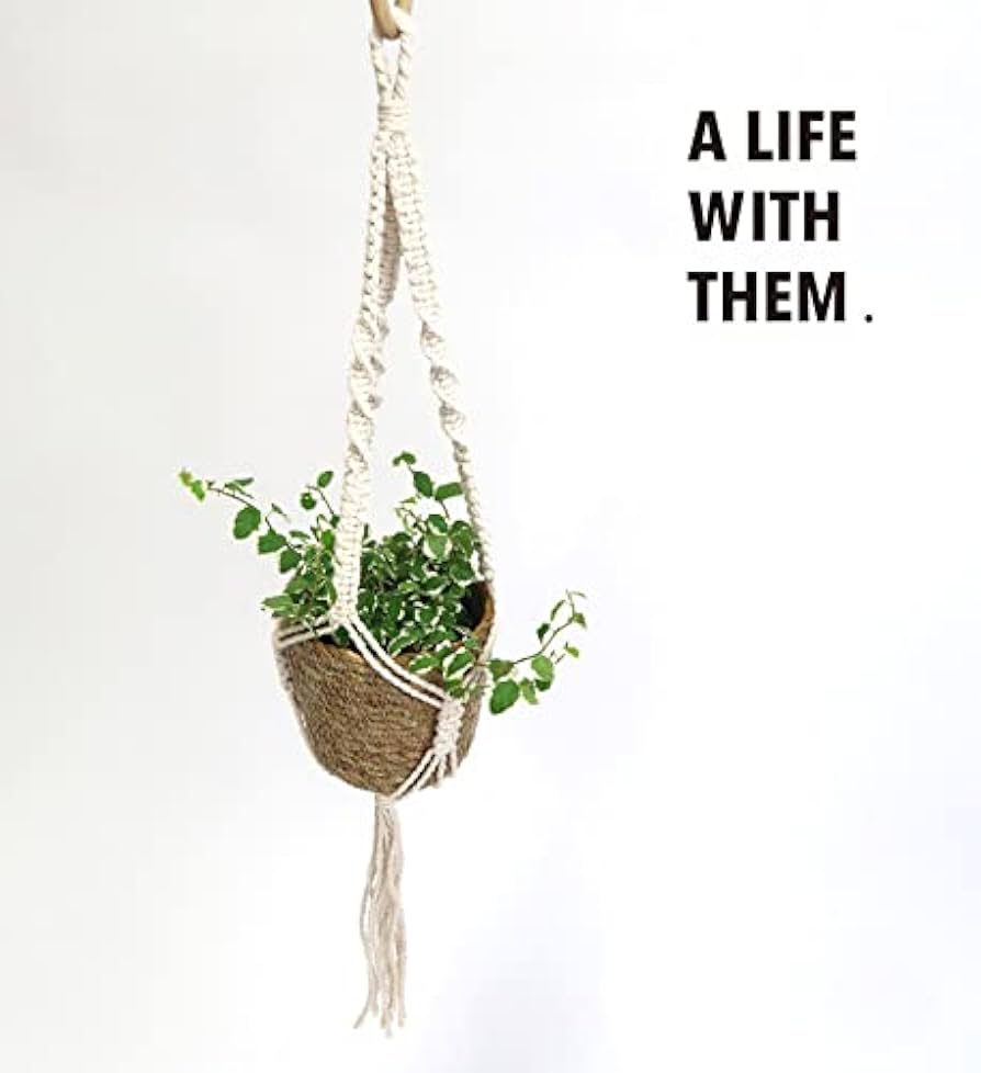 新品✳︎プラントハンガー✳︎鉢カバー✳︎4点セット プラントハンガー | 鉢・鉢カバーの通販HitoHana