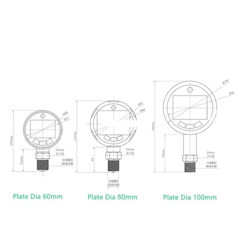 Manómetro digital de acero inoxidable para control de presión de agua y vacío 4