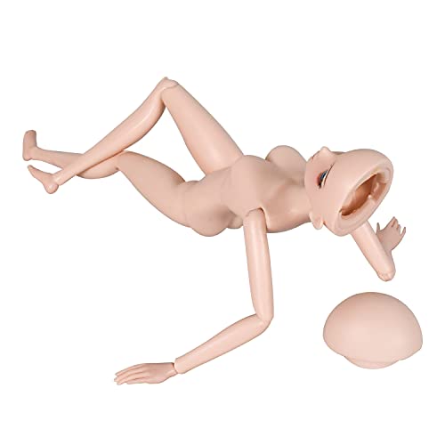 Proudoll 1/6 Bjd Doll Body Ball Jointed Sd Dolls 15 Joints Move Diy Doll + Basic Makeup Makeup And Eyes Free Change (29Cm(About 11Inches), Ss) #TOP3