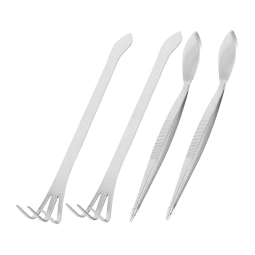 BCOATH 4Pcs Stainless Steel Bonsai Tool Includes Long Tweezers Mini Spatula and Root Rake for Gardening Crafts and Plant Care for Succulent and Bonsai Enthusiasts
