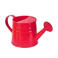 Kids Watering Can Small 1.0L Capacity Plastic Cute Plant Waterer Sand And Beach Toy Modern Boys Girls Garden Watering Bucket Ergonomic Handle Water Can for Houseplants Courtyard- Red