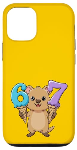 67 NIbJ VbNXZu ACXN[ hbv t@j[ X}zP[X iPhone 12/12 Pro p