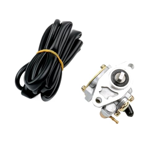 2003Nȍ~A50cc 2Xg[NGWp̌݊̂I[goCIC|v