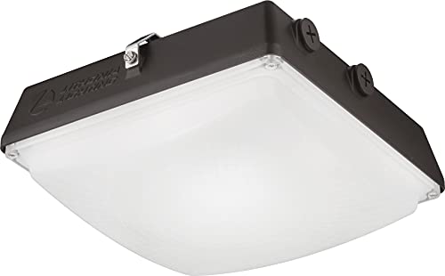 Lithonia Lighting Cny Led P1 40K Mvolt Ddb M2 Canopy Light, 4000K | Cool White, Dark Bronze #TOP4