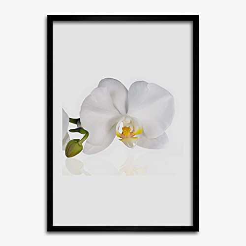 Cadre 50x70 cm Orchidée Blanche pour habiller un mur vide avec élégance