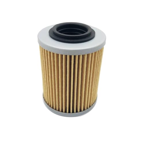 Filtro de aceite 0800-011300-0004 0800-011300 compatible con CF500 Cforce Zforce 800cc CF800 X8