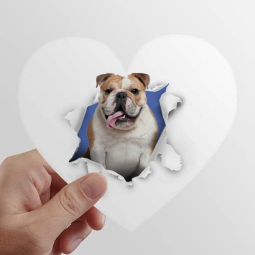 Heart Vinyl Sticker Luggage Graffiti Decal