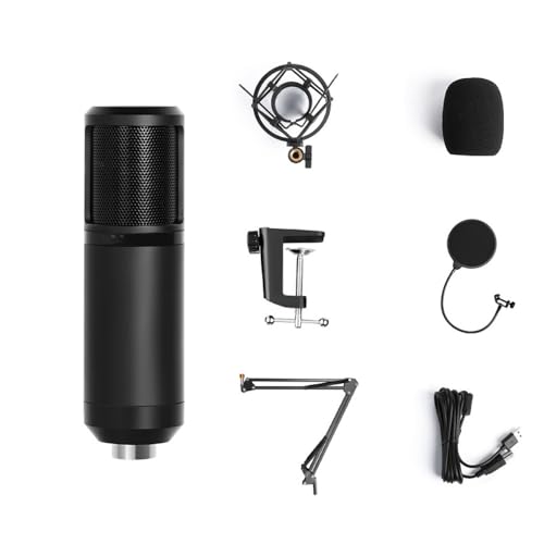 Computer Microphone PM422, Recording Capacitive Microphone, USB Direct Connection, Karaoke Dubbing Special Microphone, Suitable For Live Or Professional Use (Size : PM420)