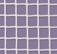 First Team FT610 Steel Official Premium Comp. Lacrosse Goal