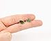Handmade Green Leaf Stud Earrings