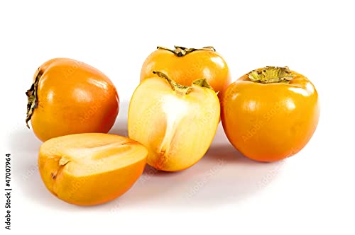 Pianta di cachi Kaki mela caco frutto sodo 130 cm