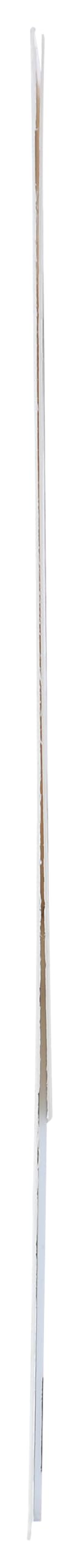 Red Lobster Gift Card $50: 0 Standard