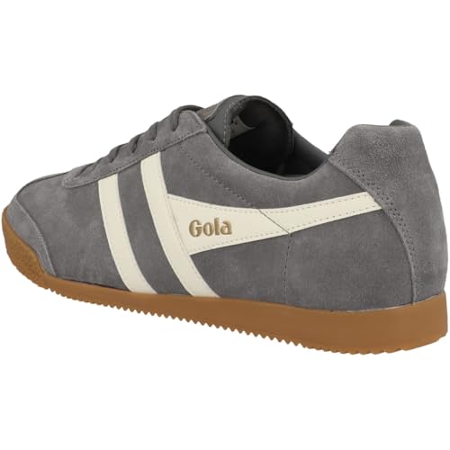 Image of Gola Harrier