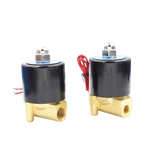 Vanne solénoïde BSP AC 220V DN6 pour contrôle d'eau intérieur