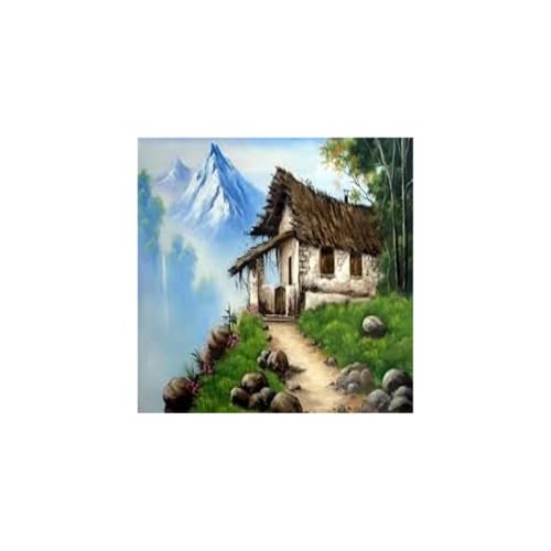 Couverture de Mayer