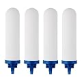 FACHIOO 7" Ceramic Fluorine Filter, Replacement Filters for ProOne® G2.0 Filters, ProOne® Big+ or Big II Countertop Gravity Water Filter System and FACHIOO King Tank Series(Pack of 4)