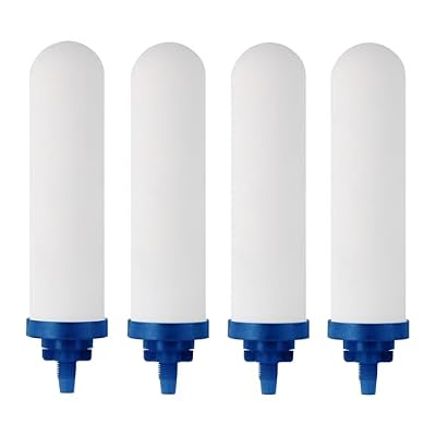 FACHIOO 7" Ceramic Fluorine Filter, Replacement Filters for ProOne® G2.0 Filters, ProOne® Big+ or Big II Countertop Gravity Water Filter System and FACHIOO King Tank Series(Pack of 4)